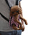 2016 New Dog Cat Nylon Pet Puppy outdoor Carrier