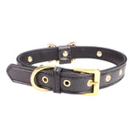 Accessori Cani Animali Pearl Diamante Bow Pet