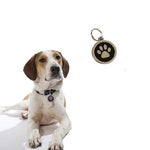 Anti-Lost Pet Dog Cat Name Address Label Tag Pet