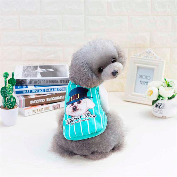 Blue Puppy with Hat pet dog Jacket coat clothes