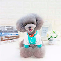 Blue Puppy with Hat pet dog Jacket coat clothes