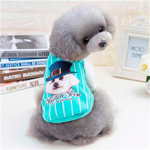 Blue Puppy with Hat pet dog Jacket coat clothes