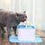 Dog Automatic Square Drinker Mat Green Food Grade