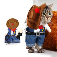 Funny Pet Cat Dog Cowboy / Doctor / Nurse Standing