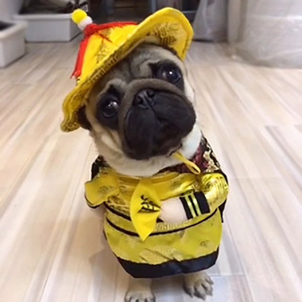 Funny Pet Emperor Qianlong Cosplay Clothes For