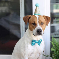 Pet Cat Dog Birthday  Headwear Caps Hat Party