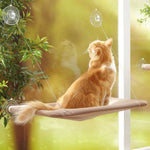 Pet Cat Hammock Hanging Beds Cute Safe Cat Sunny