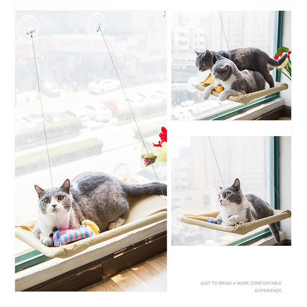 Pet Cat Hammock Hanging Beds Cute Safe Cat Sunny