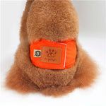 Quality Male Pet dog Physiological Pants Boy Puppy