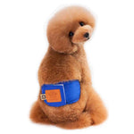 Quality Male Pet dog Physiological Pants Boy Puppy