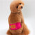 Quality Male Pet dog Physiological Pants Boy Puppy