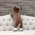 Winter Warm Elk Turned Four Legs Clothes for Dog
