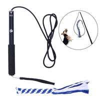 Interactive Dog Toys Extendable Flirt Pole Funny Chasing Tail Teaser and Exerciser for Pets - Toys - Molly Brands - Molly Brands