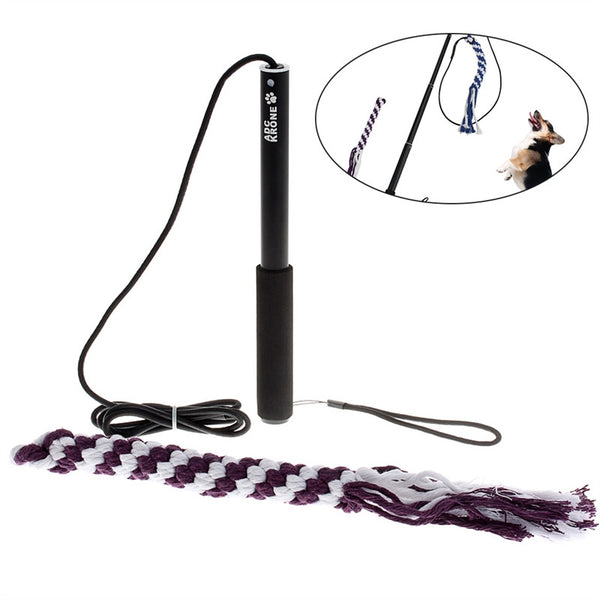 Interactive Dog Toys Extendable Flirt Pole Funny Chasing Tail Teaser and Exerciser for Pets - Toys - Molly Brands - Molly Brands