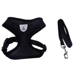 Pet Products Dog Harness With Leash Leads Dog-Collar Breathable Mesh Vest Pet accessories - Walking - Molly Brands - Molly Brands