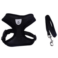 Pet Products Dog Harness With Leash Leads Dog-Collar Breathable Mesh Vest Pet accessories - Walking - Molly Brands - Molly Brands