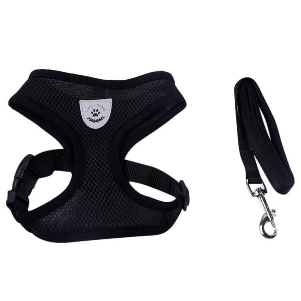 Pet Products Dog Harness With Leash Leads Dog-Collar Breathable Mesh Vest Pet accessories - Walking - Molly Brands - Molly Brands