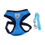 Pet Products Dog Harness With Leash Leads Dog-Collar Breathable Mesh Vest Pet accessories - Walking - Molly Brands - Molly Brands